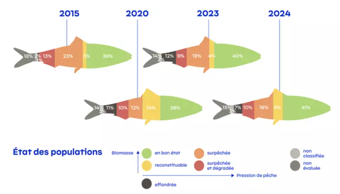 Quels poissons vaut-il mieux éviter de manger en 2026 ?