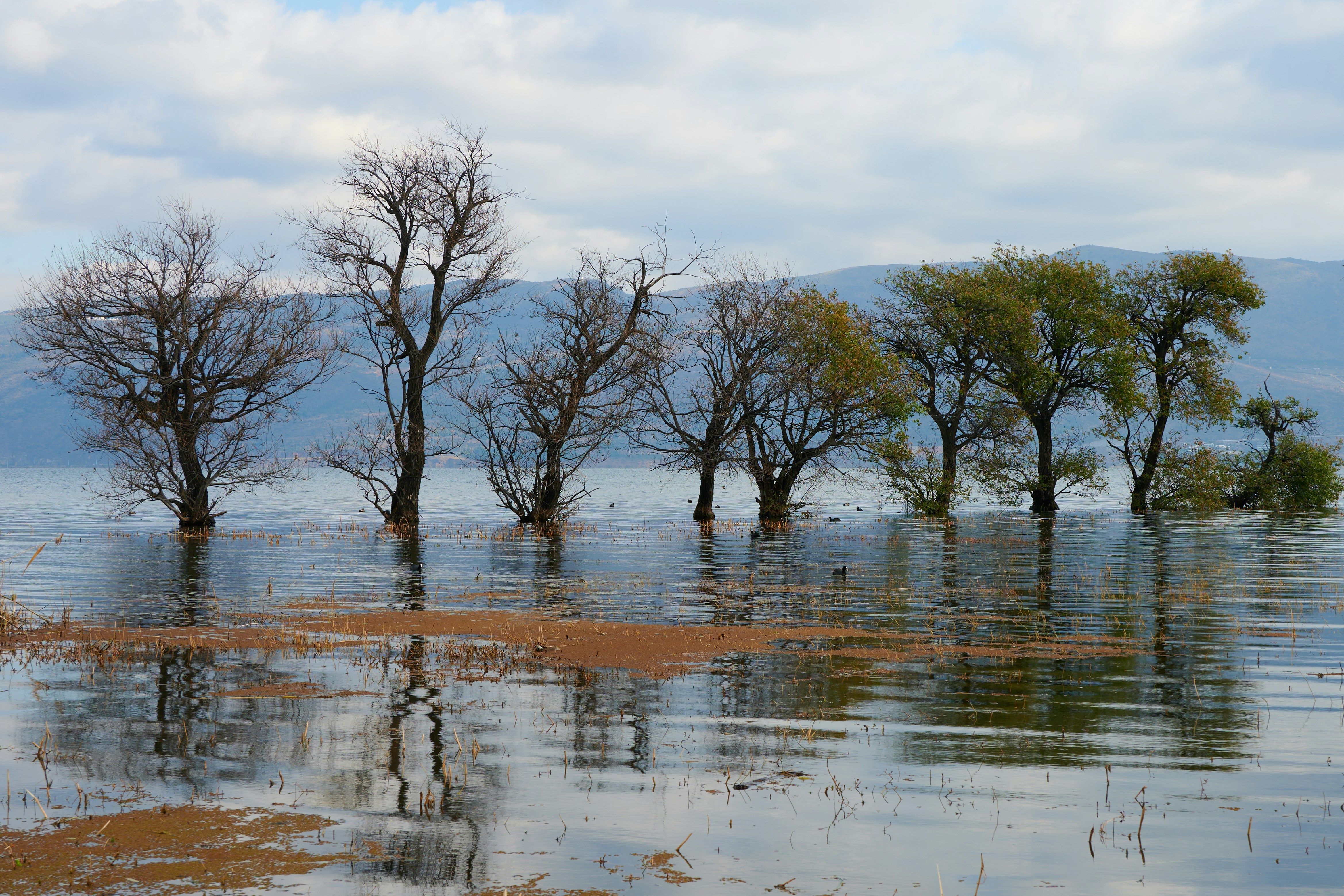 L’océan se réchauffe, causant la montée des eaux